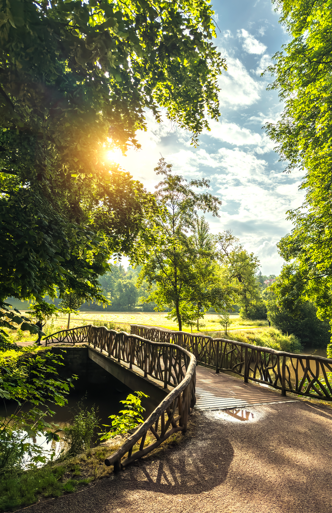 Sunlight filters through trees over a wooden bridge in a lush park.