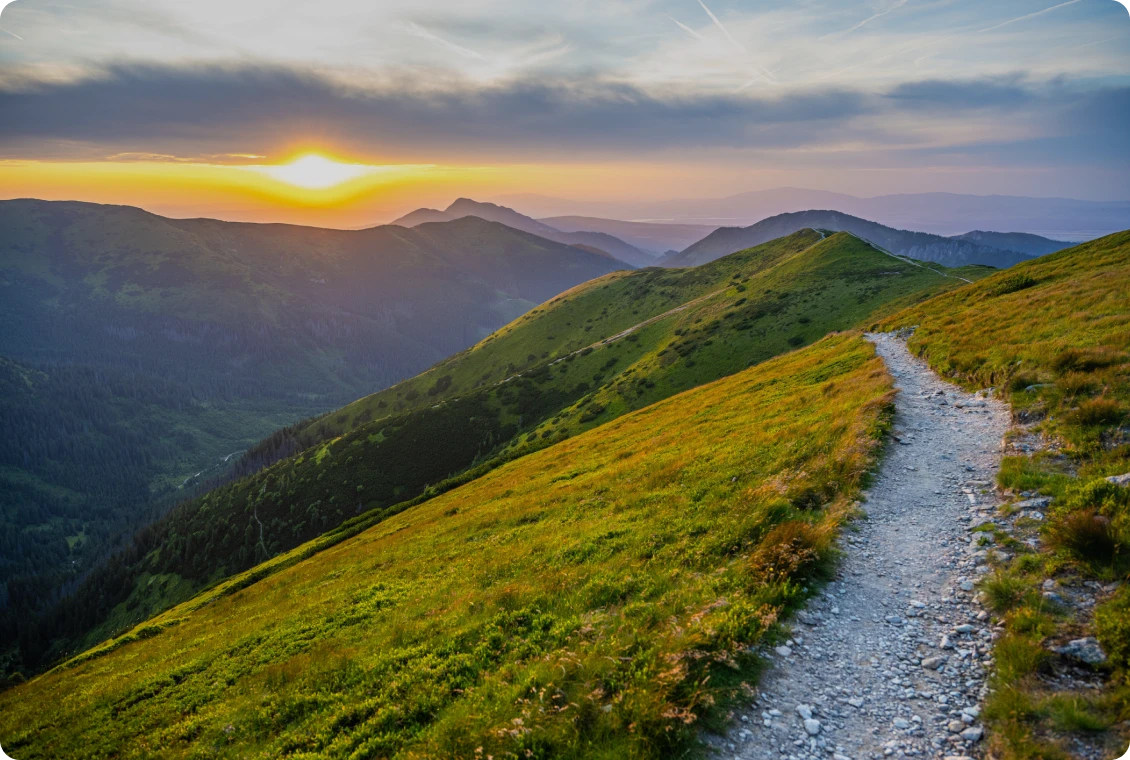 Path through green hills at dusk
